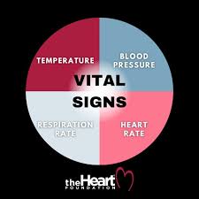 Image result for Vital Sign