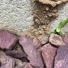 Get answers from arrow pest control staff and past visitors. Arrow Pest Control Home Facebook