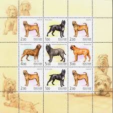 pochtovaya marka iz kollekcii filatelista philately filateliyamarki filateliya pochtovyemarki pochtovyemarkimira postal stamps stamp dogs