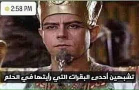 رد (المدام فاتن) على الصور...