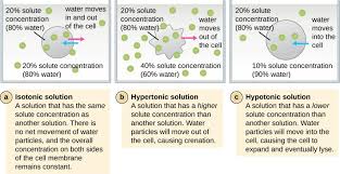 It has been estimated that all cells, whether prokaryotic or eukaryotic, have a membrane that envelops the cell, regulates what. 3 3 Unique Characteristics Of Prokaryotic Cells Microbiology Canadian Edition