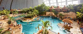 An island or isle is any piece of subcontinental land that is surrounded by water. Tropical Islands Swimming Diving And Frolicking Visitberlin De