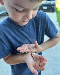 My baby love to stay