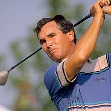 Image result for Eye Rest Green 1977 Hussmann