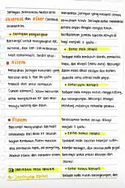 Sel hewan memiliki lisosom yang mengandung enzim pencernaan untuk memecah makromolekul makanan dan juga enzim hidrolitik yang membunuh bakteri dalam tubuh hewan. Clear Indonesia On Twitter Kali Ini Ada Rangkuman Biologi Tentang Jaringan Hewan Dan Tumbuhan Jaringan Adalah Kumpulan Sel Yang Memiliki Bentuk Dan Fungsi Yang Sama Jaringan Pada Tumbuhan Ada Jaringan Meristem