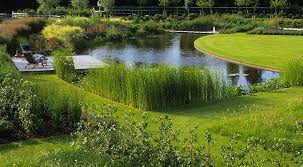 Buriton Hampshire Uk Pond Landscaping Landscape Design Garden Landscape Design