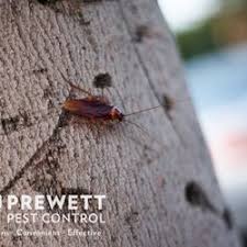Pest control in tampa with a money back guarantee! Pest Control In Opelika Yelp