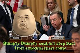 Image result for jerry nadler eyebrows