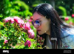 Elizabeth park rose garden hi-res stock photography and images