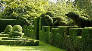 Le siepi fiorite profumate sono l'ideale per delimitare e proteggere gli spazi, e allo stesso tempo conferire al tuo giardino una nota in vai al sito. 10 Piante Ideali Per Siepi Da Giardino