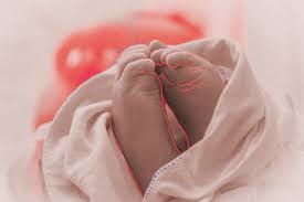 Cámara de diputados despachó a ley extensión del postnatal de emergencia. Proyecto De Postnatal De Emergencia Estoy Totalmente Expuesta Y Estoy Poniendo En Riesgo Mi Salud Y La De Mi Familia La Tercera