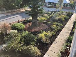 G ive them a place to step onto instead. 7 Steps To Creating A Successful Native Verge In Perth Wa Apace Aid Wa
