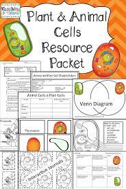 Plant And Animal Cells Unit Plant And Animal Cells Animal Cell Science Cells