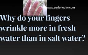 Why Do Your Fingers Wrinkle More In Fresh Water Than In Salt By Aj Allen