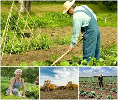 Rppns serra do tombador e salto morato. A Importancia De Se Comemorar O Dia Do Agricultor Noticias Cursos A Distancia Cpt