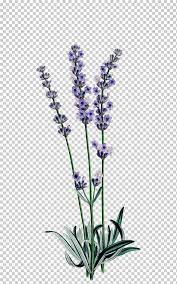 موفيز لاند هو اول وافضل موقع تحميل ومشاهدة افلام عربية, افلام اجنبية مترجمة, افلام هندية و تركية اون لاين. Ø§Ù„Ø£Ø±Ø¬ÙˆØ§Ù†ÙŠ Ø§Ù„Ø®Ø²Ø§Ù…Ù‰ Ø§Ù„Ø¥Ù†Ø¬Ù„ÙŠØ²ÙŠØ© Ù„Ø§ÙÙ†Ø¯Ø± Ø§Ù„ØªÙˆØ¶ÙŠØ­ Ø§Ù„Ù†Ø¨Ø§ØªÙŠ Ø¹Ù„Ù… Ø§Ù„Ù†Ø¨Ø§Øª Ø±Ø³Ù… Ø²ÙŠØª Ø§Ù„Ù„Ø§ÙÙ†Ø¯Ø± Ù„Ø§ÙÙ†Ø¯Ø± Ø§Ù„Ø±Ø³Ù… Ø¨Ø§Ù„Ø£Ù„ÙˆØ§Ù†