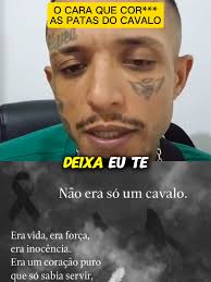 Caso do Cavalo Sem Patas em Bananal, SP