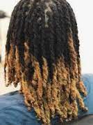 Related to tips dyed freeform dreads. Can You Dye Dreads Without Bleach The Best Ottawa Hair Salon