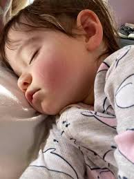 Simon Kenton H.S. Class of 1978