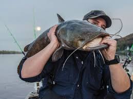 Basic catfish biology and natural history. Catfish Moon On The Water