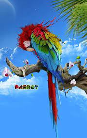 Red Parrot Bird Animals Desktop Wallpapers Download Animals Hd 1080p Wallpapers And Desktop Backgrounds Pictures Images Source Www Fr Animais Caes Passaros