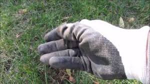 Make social videos in an instant: Metal Detecting Another Day With The Bounty Hunter Lone Star Pro Youtube