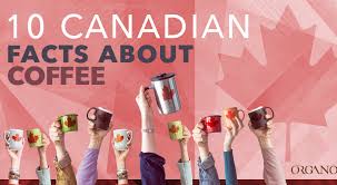 You've been drinking your coffee all wrong. It S Canada Day In Og Organo Official Blog
