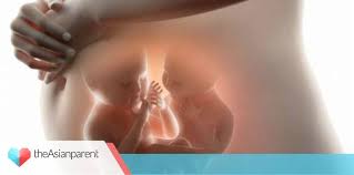 Namun, rasa mual dan pusing pada awal kehamilan akan hilang dengan sendirinya seiring pertambahan usia. 11 Ciri Ciri Hamil Anak Kembar Yang Harus Bunda Tahu Theasianparent Indonesia