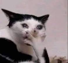Laura Seraphim On Twitter Quando Eu Peco A Senha Do Celular Da Minha Amg E Ela Fala Q E A Data De Nascimento Dela