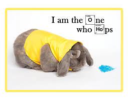 No Big Deal Just A Bunny Dressed Like Daenerys Targaryen And Walter White Bunny Costume Animals For Kids Cute Little Animals