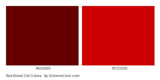 red blood cell color scheme maroon schemecolor com