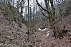 Image result