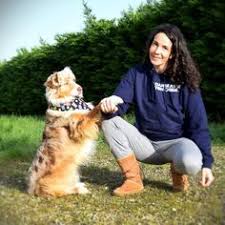 Epingle Par Anne Vandenbergh Sur Chien Chien Eduquer Son Chien Canin