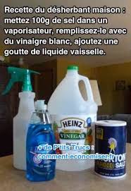 puissant et facile a faire le desherbant maison au vinaigre blanc desherbant maison desherbant naturel jardinage