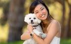Maltese Mix Puppies For Sale - Maltese Mix | Greenfield ...