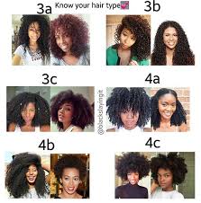 What Is Your Hair Type A Drop Of Black Black Hair Types Natural Hair Styles Hair Type
