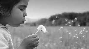 Richard Wann's Instagram, Twitter & Facebook