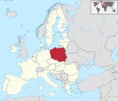 Kullanıldığı dönemlerden bu yana polen ile insan doğasına besin takviyesinin yapıldığı bilinmektedir. Polen Wikivoyage