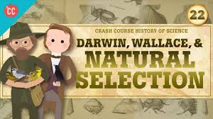 The birds eat during the day and seem to be eating only. Darwin And Natural Selection Crash Course History Of Science 22 Youtube