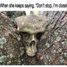 When She Keeps Saying Don T Stop Im Close Meme Ahseeit