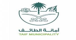 أمانة الطائف تصدر 1195 رخصة إنشاء الكترونية Https Is Gd Ycu70y الطائف صحيفة البلاد Taif Municipality