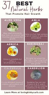 China is known for their improvements on their ancient traditions of beauty care. 46 Herbs For Hair Growth Ideas In 2021 Herbs For Hair Herbs For Hair Growth Hair Growth