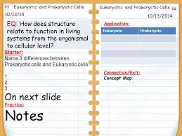 Maybe you would like to learn more about one of these? 10 13 14 Starter Name 3 Differences Between Prokaryotic Cells And Eukaryotic Cells On Next Slide 10 13 2014 Eukaryotic And Prokaryotic Cells Ppt Download