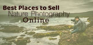 * photos must be at least 4 mb in size * no watermarks or any copyright information i. 15 Places To Sell Nature Photography Online Envira Gallery