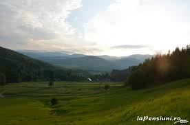 Unitatea de cazare este dotata cu un televizor și aer condiționat. Vezi Galeria Fotografica Pentru Cabana Haiducului Situata La Valea Doftanei Valea Neagra In Judetul Prahova Valea Doftanei
