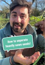 Gardening Tips: How to Separate Heavily Sown Seeds