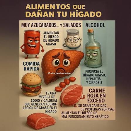 Los alimentos que dañan el hígado incluyen el alcohol, el exceso de azúcar  (en bebidas y dulces), las grasas saturadas y trans (presentes en frituras,  carnes grasas y embutidos), la sal (en