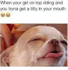 25 Best Memes About Girl On Top Riding Girl On Top Riding Memes