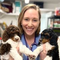 30+ "Merrifield" profiles