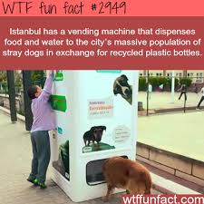 Istanbul S Awesome Vending Machines For Dogs Wtf Fun Facts Fun Facts Funny Facts